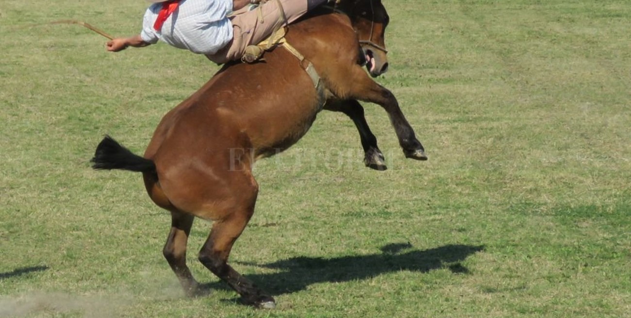 Cambios en el circuito de las jineteadas
