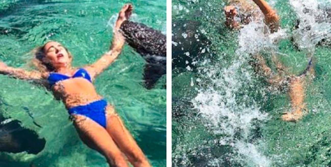 Se tomó fotos con tiburones para subir a Instagram y la mordieron