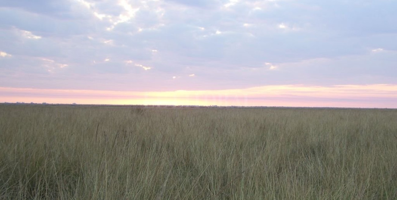 Los Bajos ya tienen un Plan de Manejo Integral