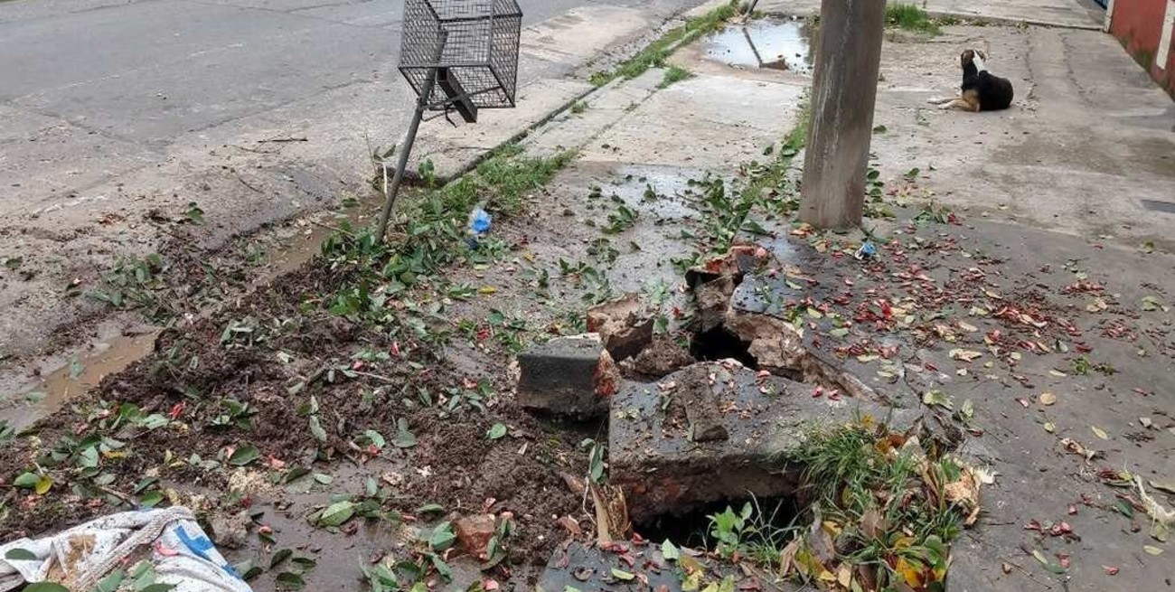 Sacaron un árbol, se hizo un socavón y teme por la estructura de su casa