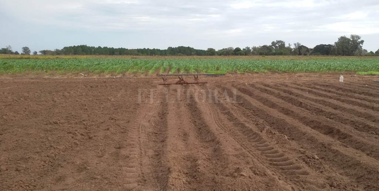 Un hombre murió mientras trabajaba en su tractor