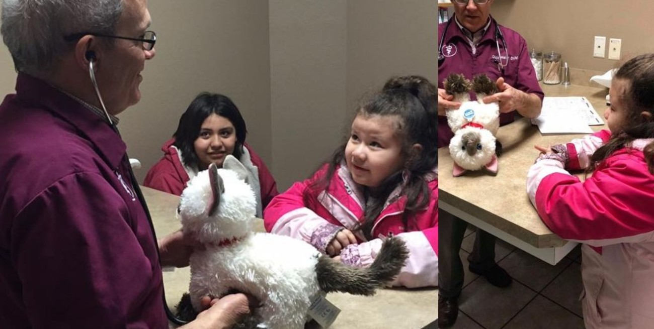 6 de agosto: Día del Veterinario