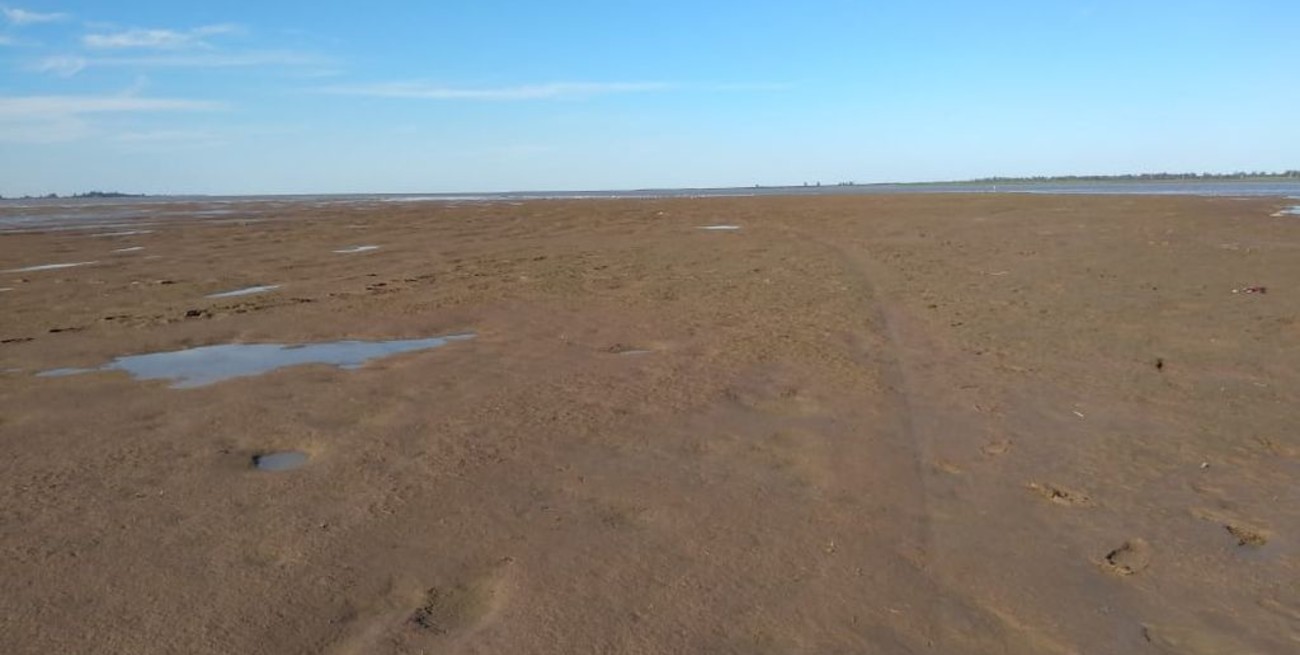 El caudal del Paraná en 2019 fue el más bajo desde 1978