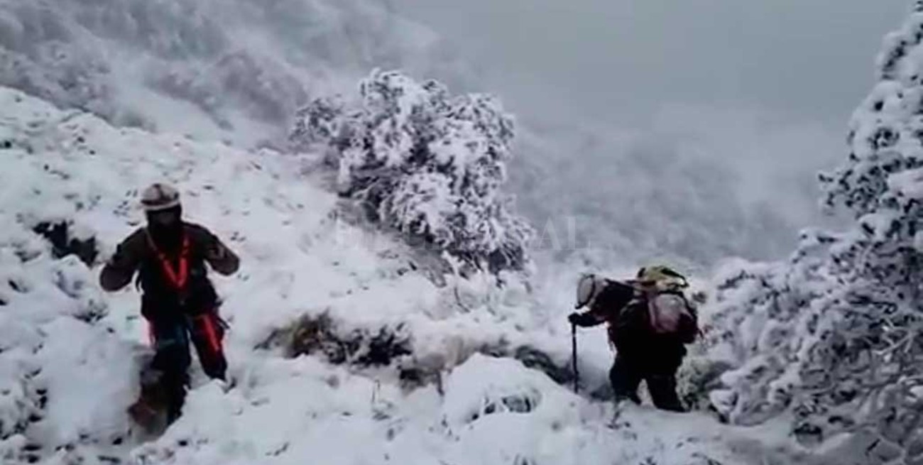 El helicóptero oficial aterrizó de emergencia por "peligro de engelamiento de piezas"