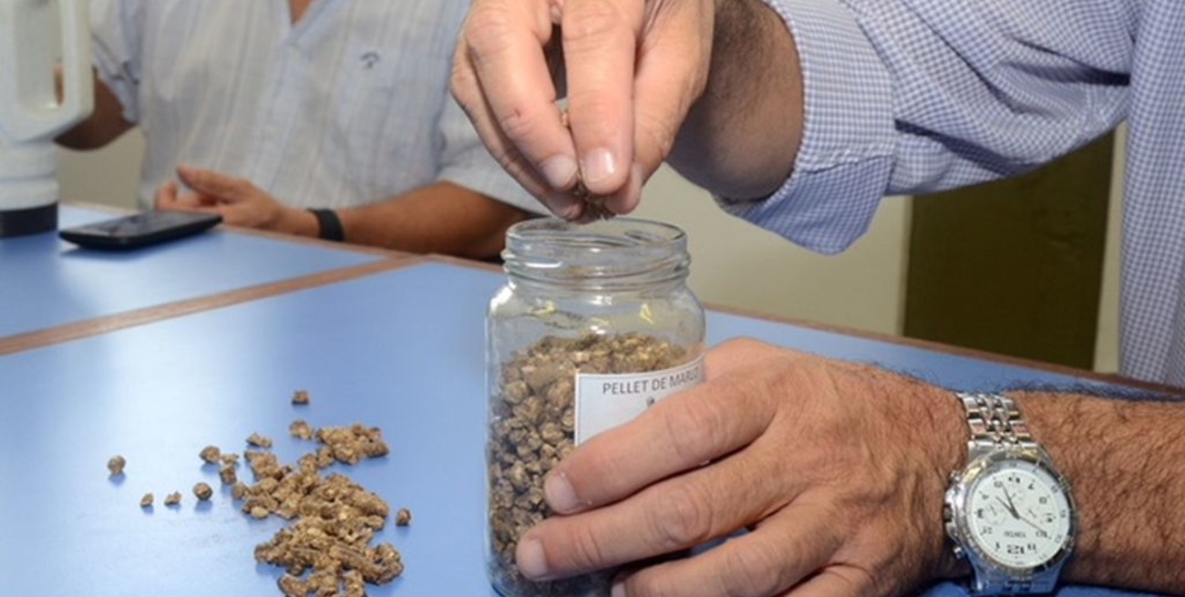 La UTN creo un sistema para generar energía con marlos de maíz