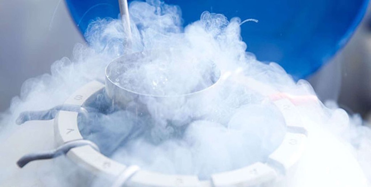 Descarte de embriones congelados: la Justicia avaló el cese de la criopreservación