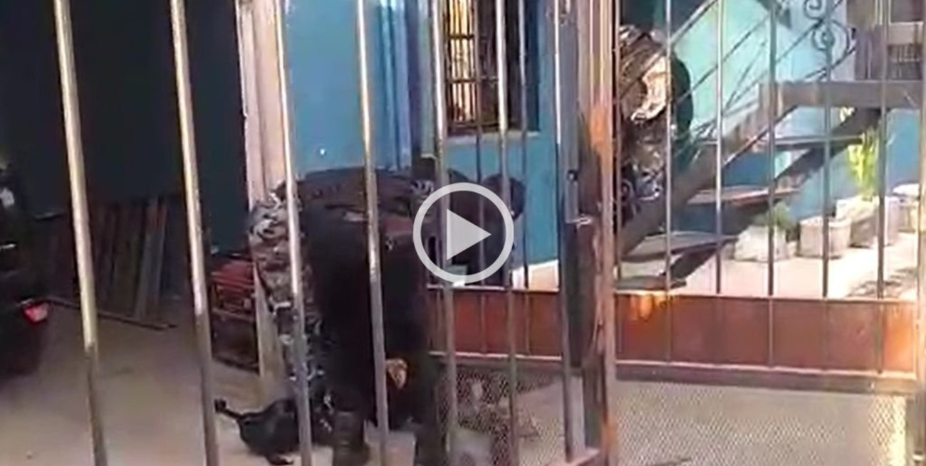 Video: un hombre baleó a dos policías de la provincia cuando fueron a detenerlo