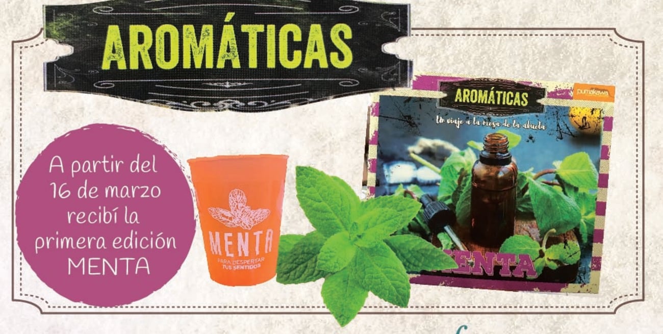 Llega "Plantas aromáticas", una colección para aromatizar tus platos