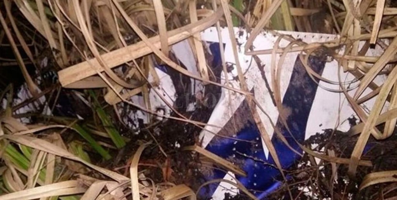 Confirman que hallaron "restos humanos" en avioneta caída en el Delta