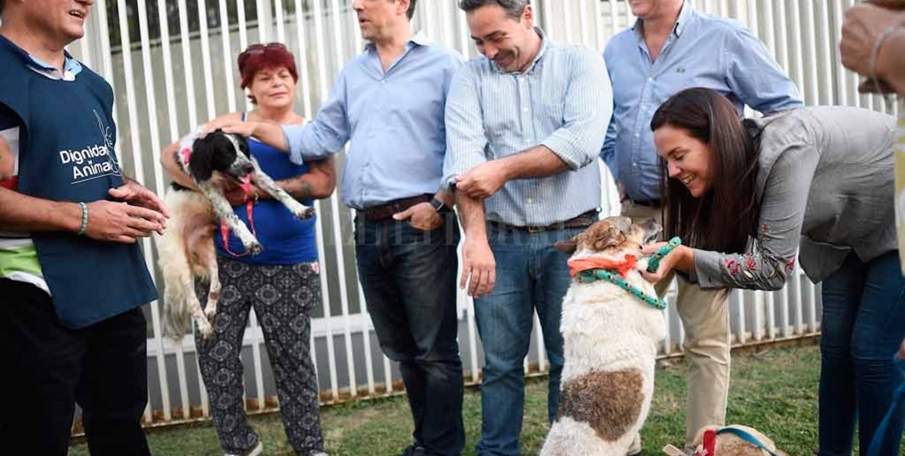 "El trabajo en equipo y la solidaridad permitió ayudar a decenas de mascotas"