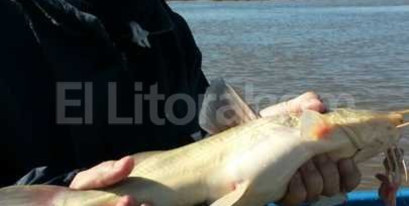 Se festeja el Día del Pescador Deportivo