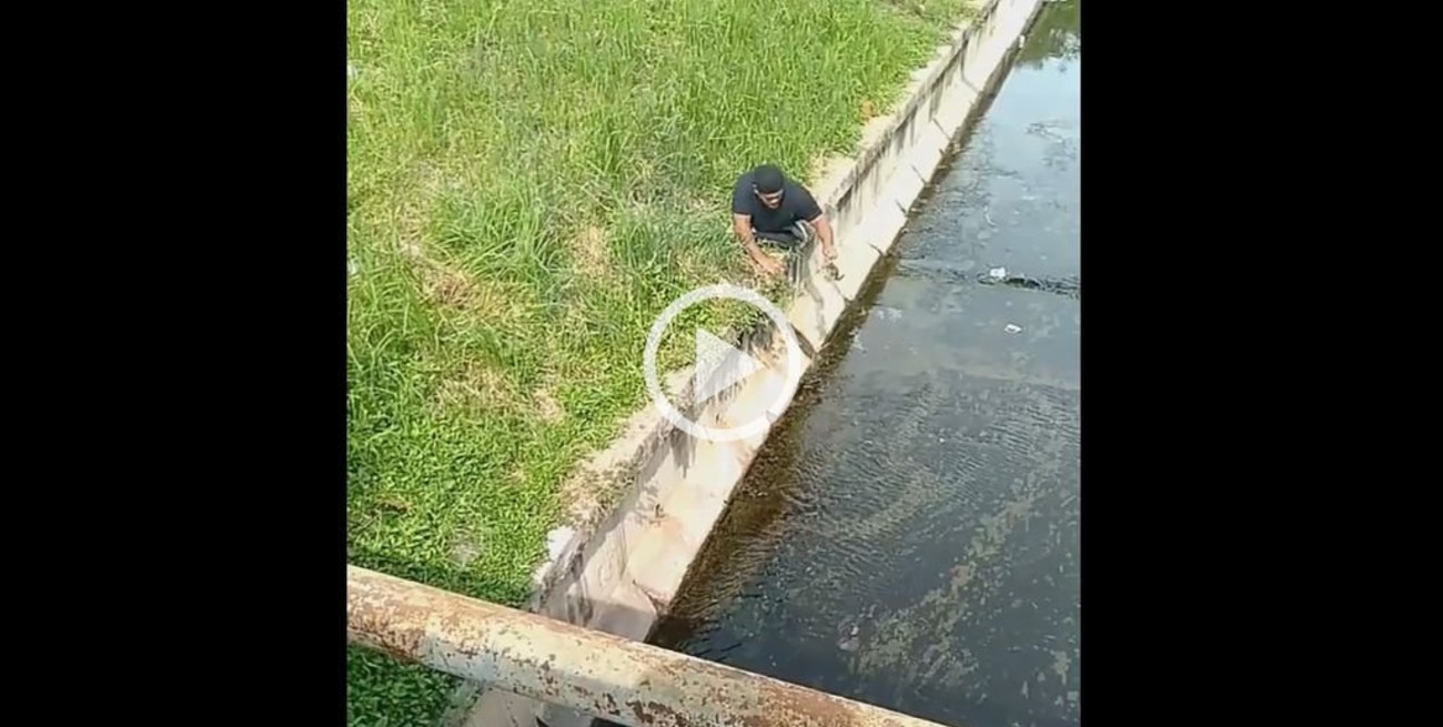 Video: Un deportista paralímpico dejó su silla de ruedas para salvar a un gatito