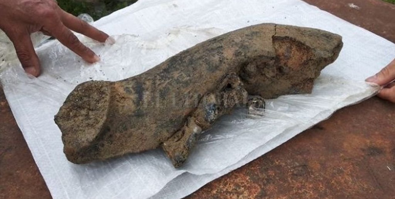 Arroyo Saladillo: pescadores hallaron restos fósiles de un mastodonte