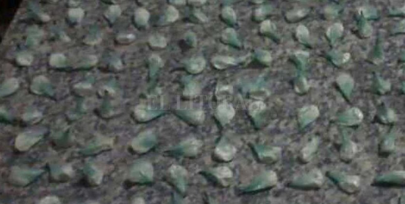 Detuvieron a un hombre con 200 dosis de cocaína