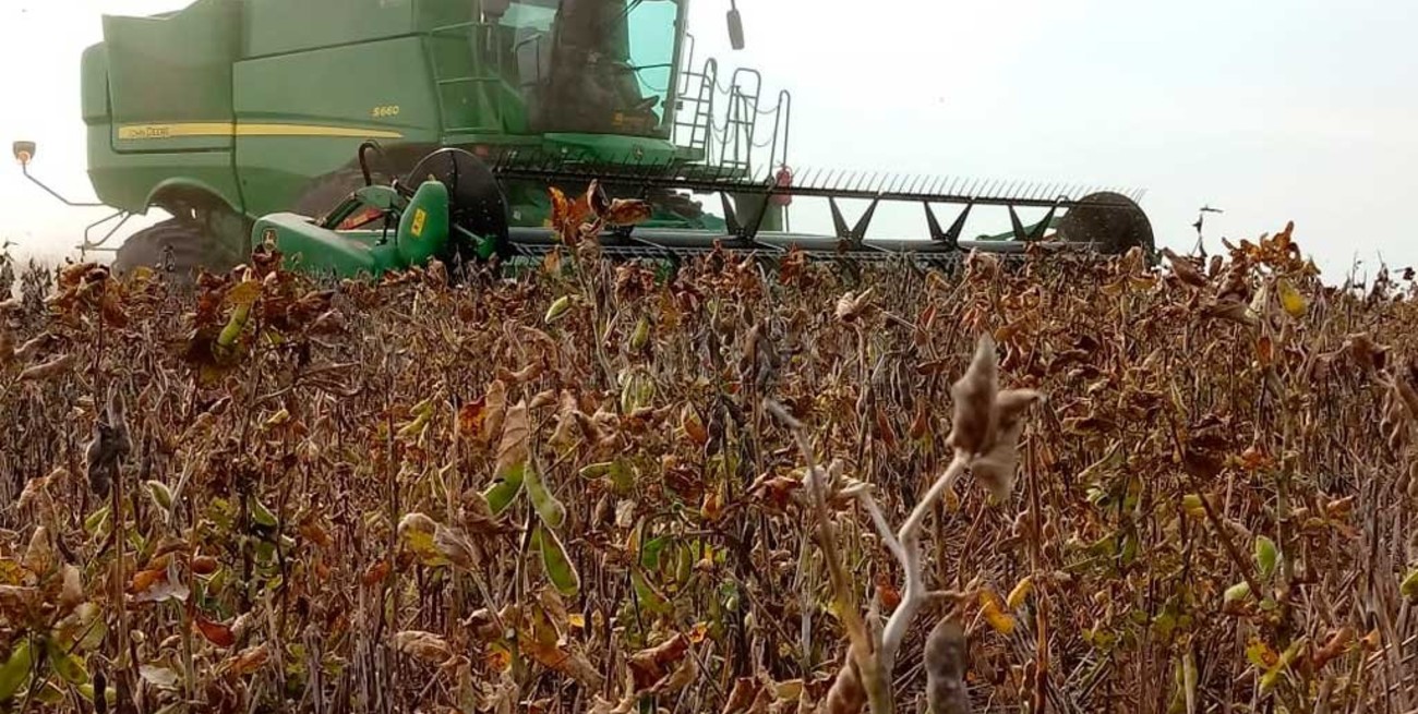 Fondo Sojero: el Senado santafesino sumó su queja