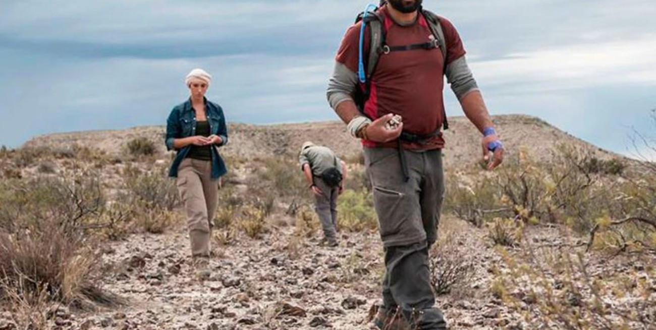 Hallan restos fósiles de 50 millones de años de antigüedad en La Pampa