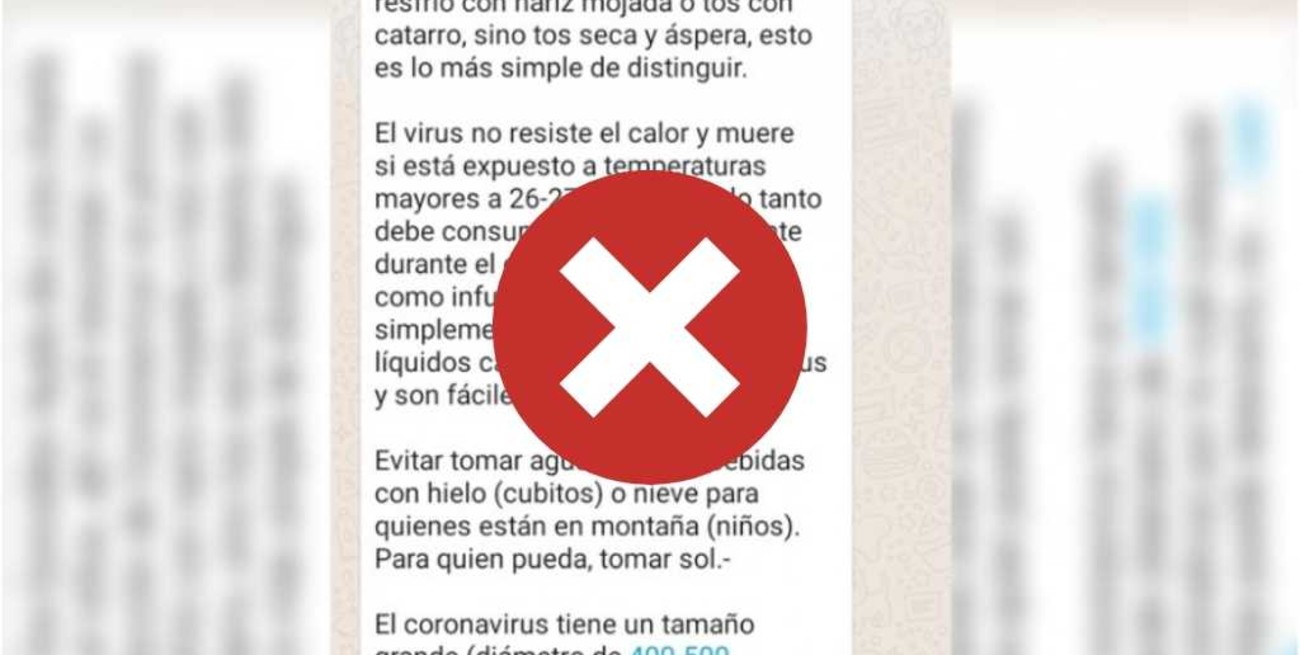 Coronavirus: es falsa la cadena de la doctora "González Ayala" que circula por WhatsApp
