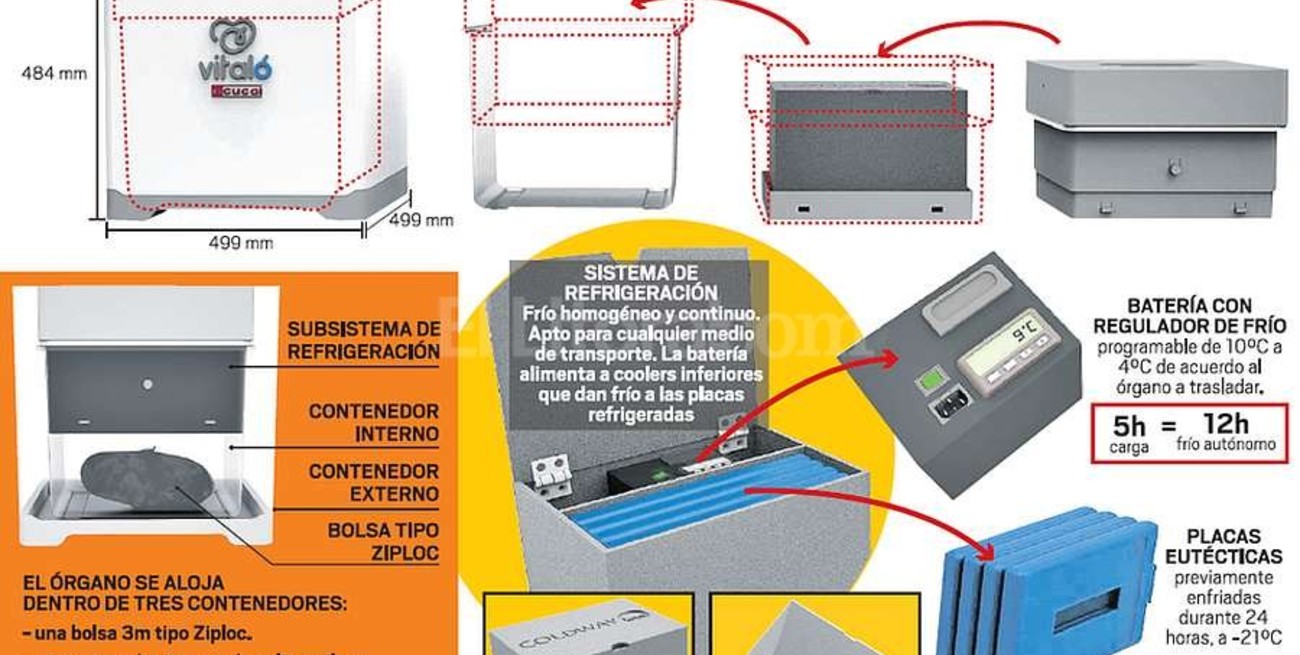 Diseñan un sistema para preservar  mejor los órganos para trasplante