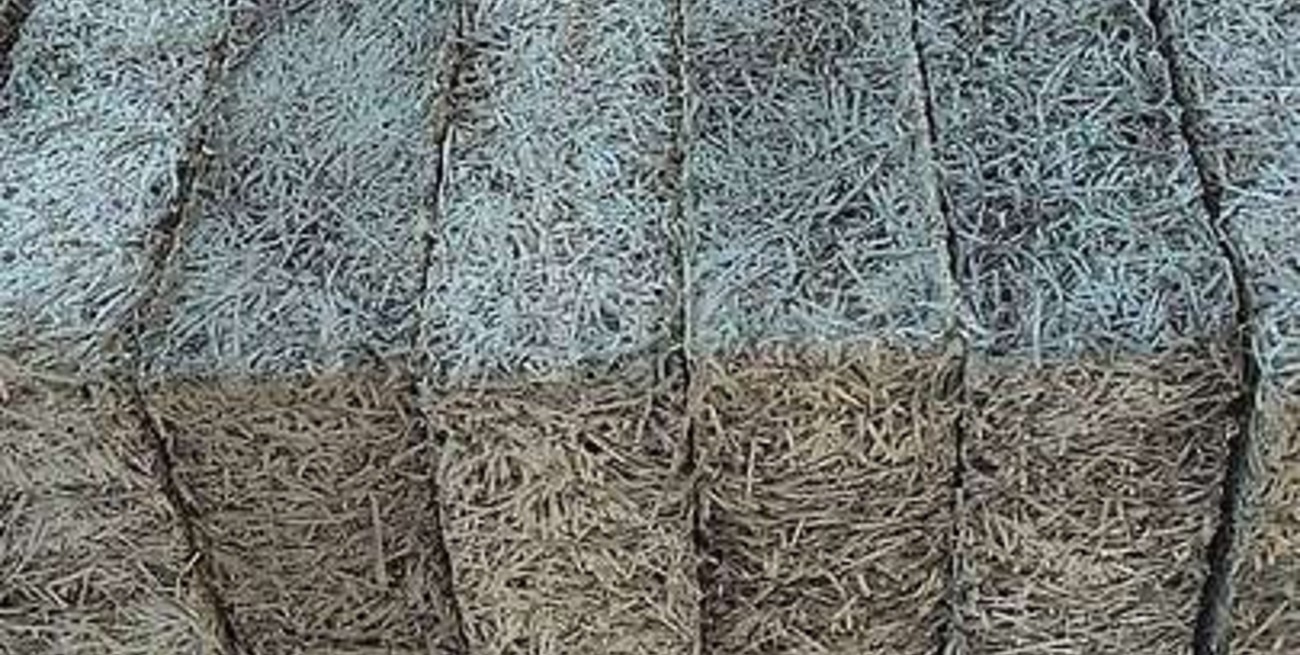 Con "lanas de madera" y cemento, crean un inédito panel constructivo