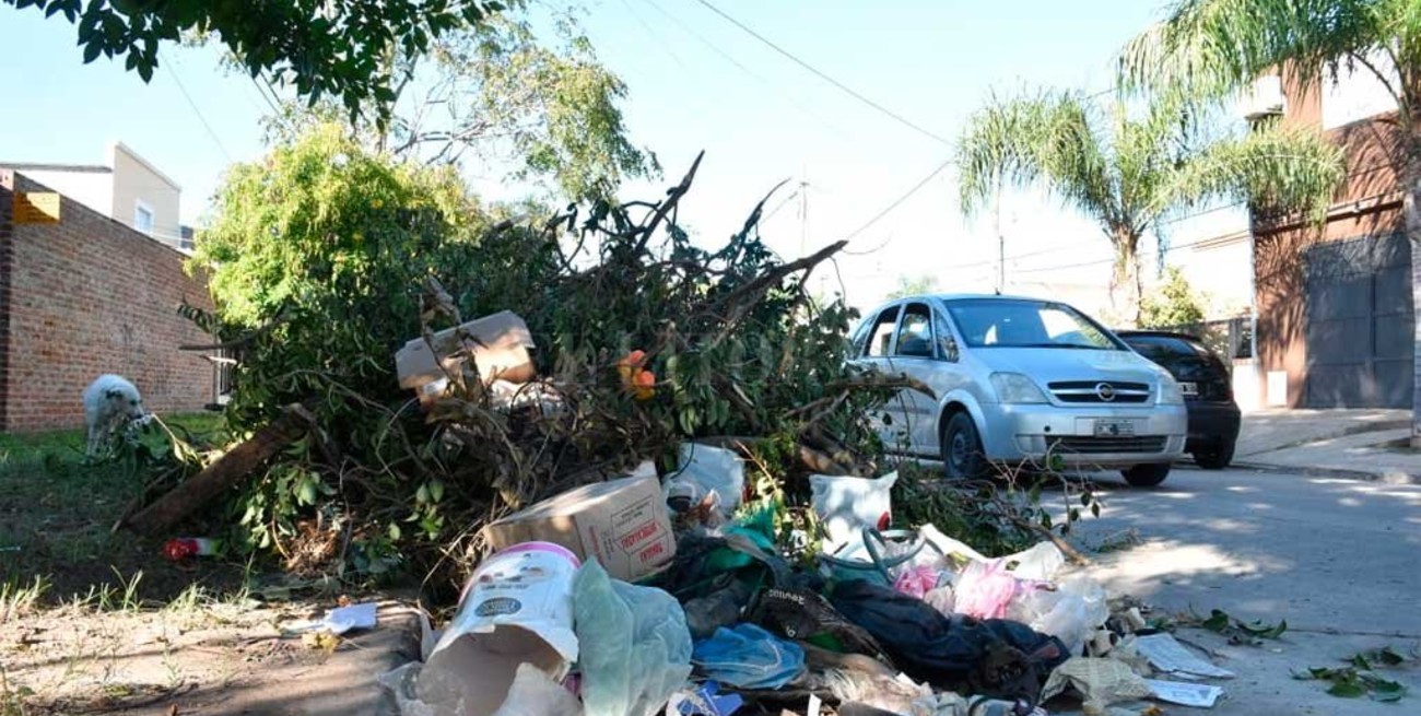 La cuarentena se mide también en más toneladas de residuos domiciliarios
