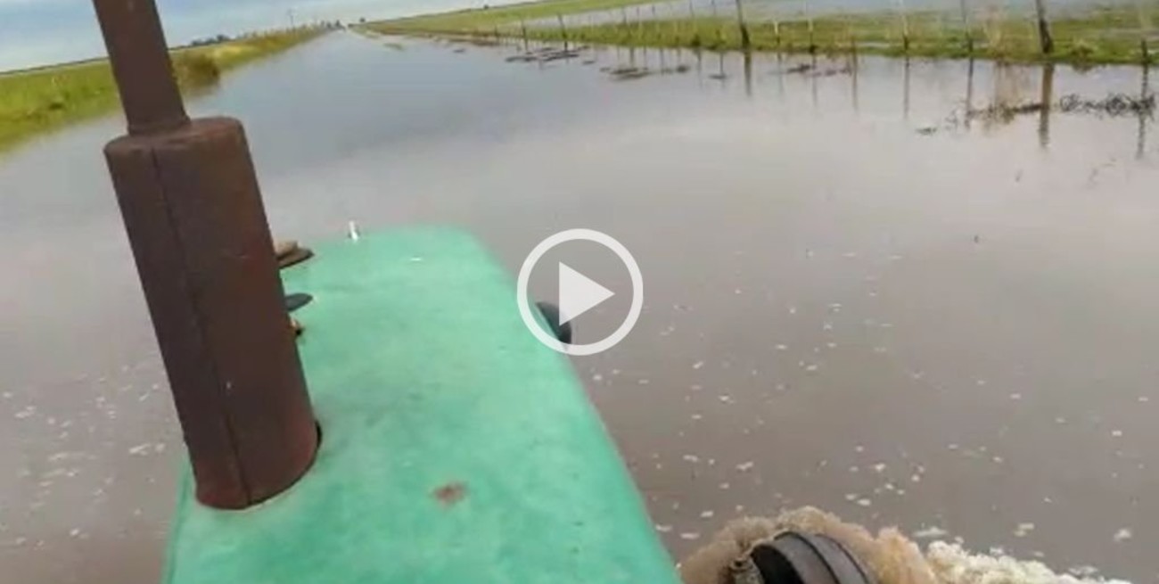 Inundaciones: peligra la fina en el noroeste santafesino