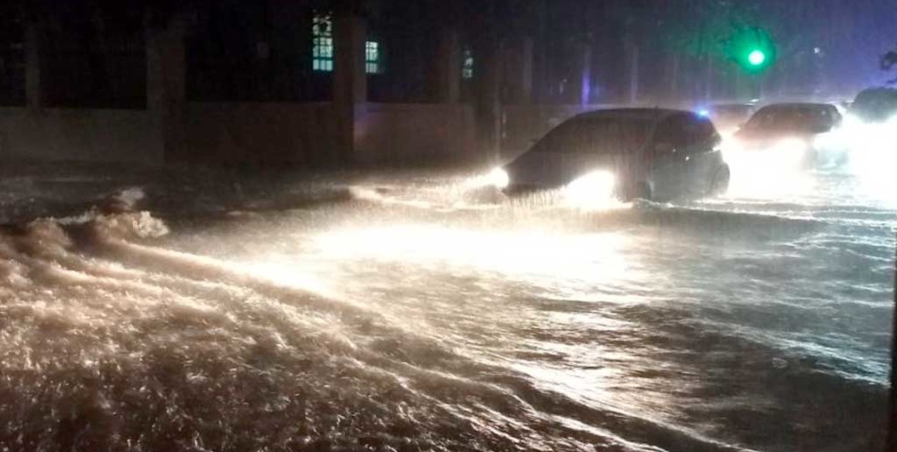 Temporal en Chaco y Corrientes: árboles caídos, fuertes ráfagas y 160 milímetros de agua