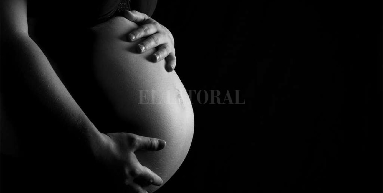 Zika: aseguran que no aumentaron los casos de microcefalia en bebés