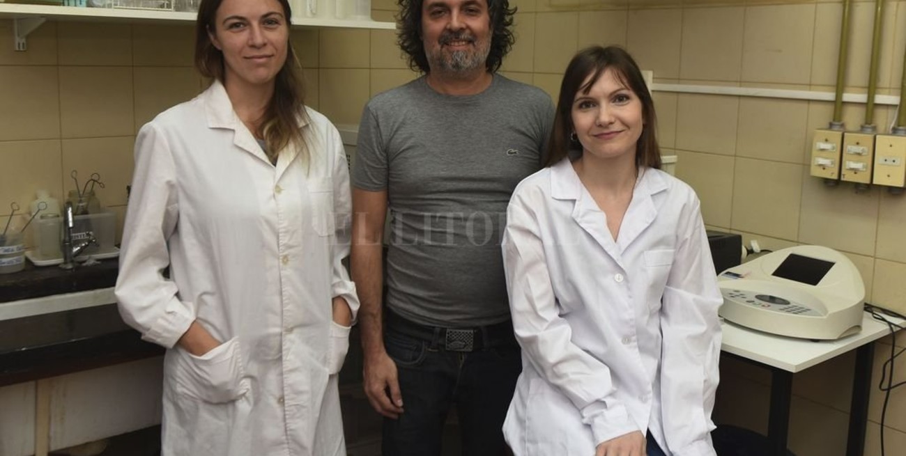 Investigadores rosarinos logran detener el avance de uno de los cánceres de hígado más letales