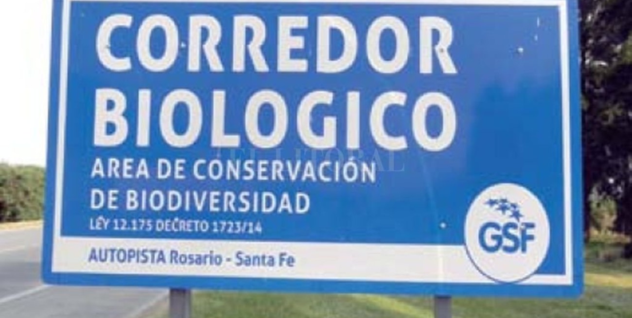 Reconocimiento legal a radiólogos 