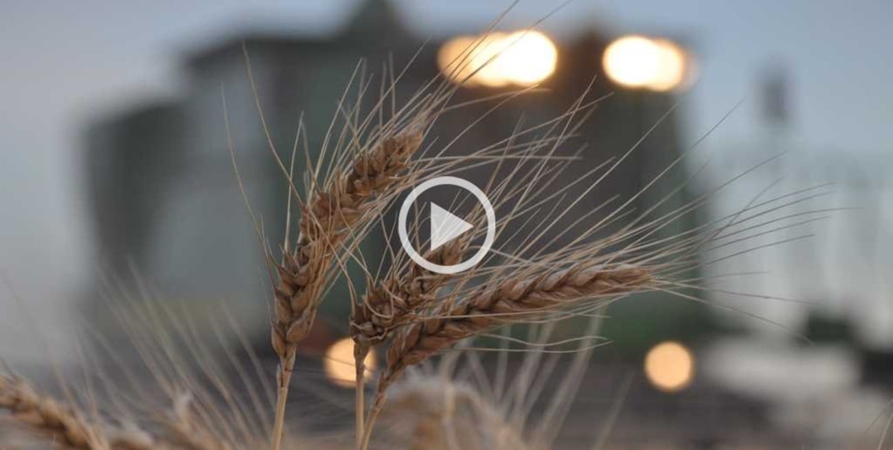 Sistema de Estimaciones Agrícolas