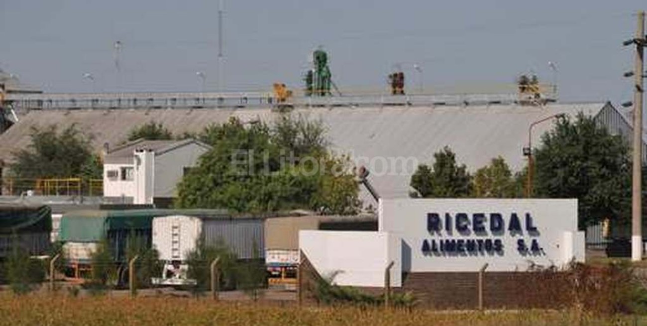 Ricedal Alimentos despide a 28 trabajadores en Chabás