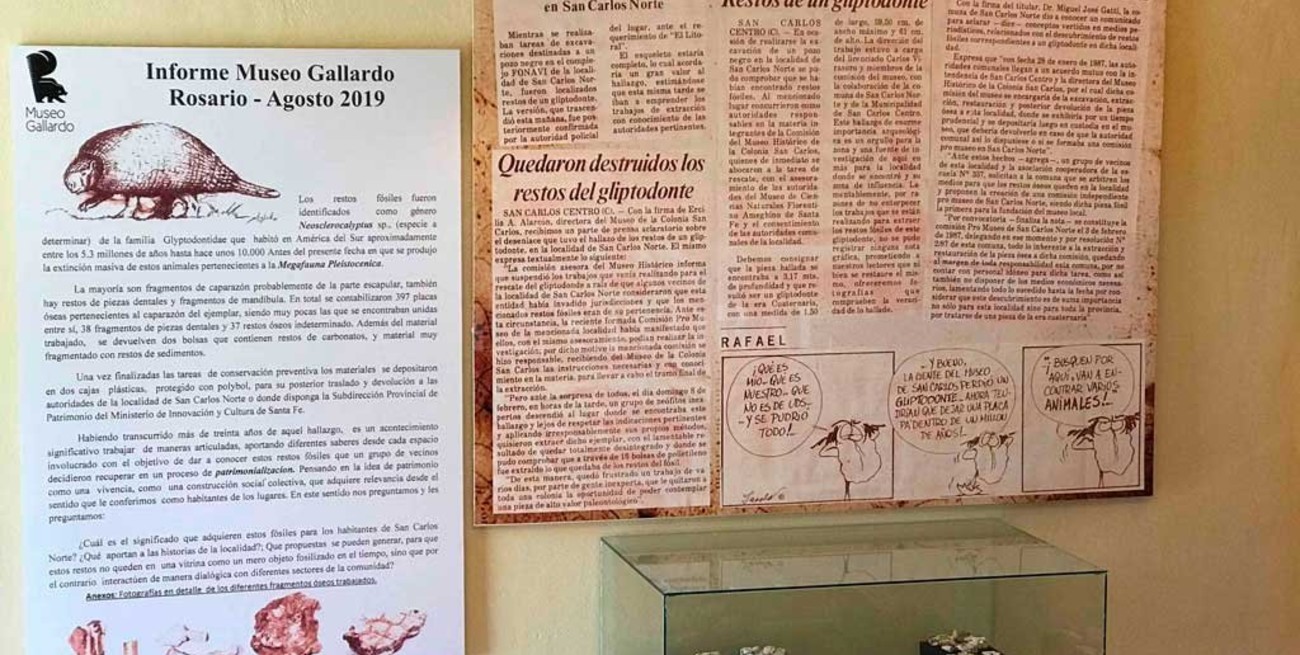 Luego de 32 años en el olvido, el dinosaurio de San Carlos Norte llegó al museo