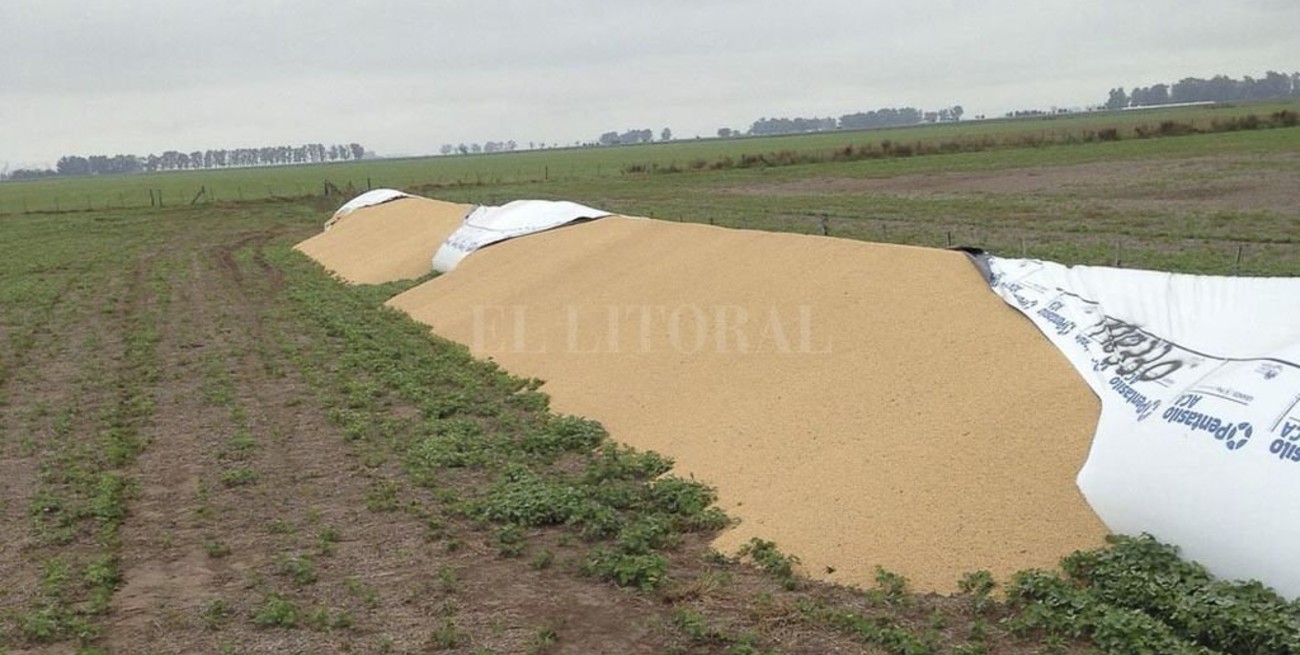La rotura de silobolsas que preocupa en tres provincias