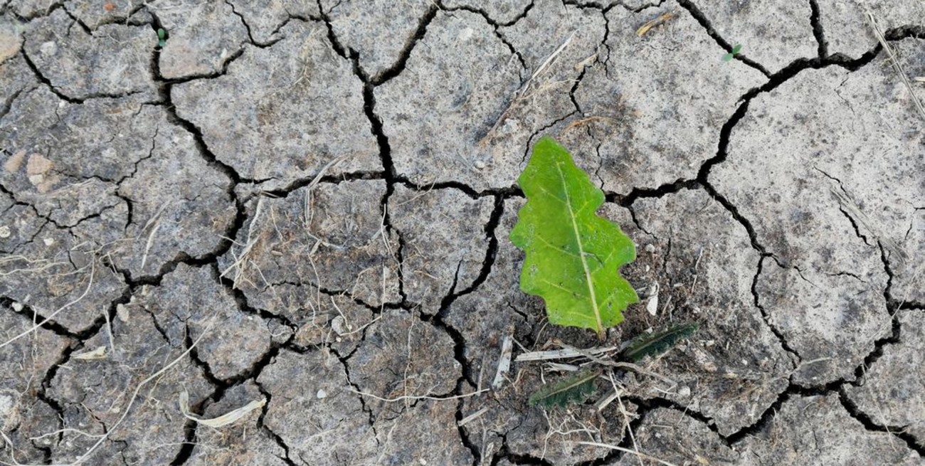 Entregaron los premios del concurso de fotografía "El agua en imágenes" 