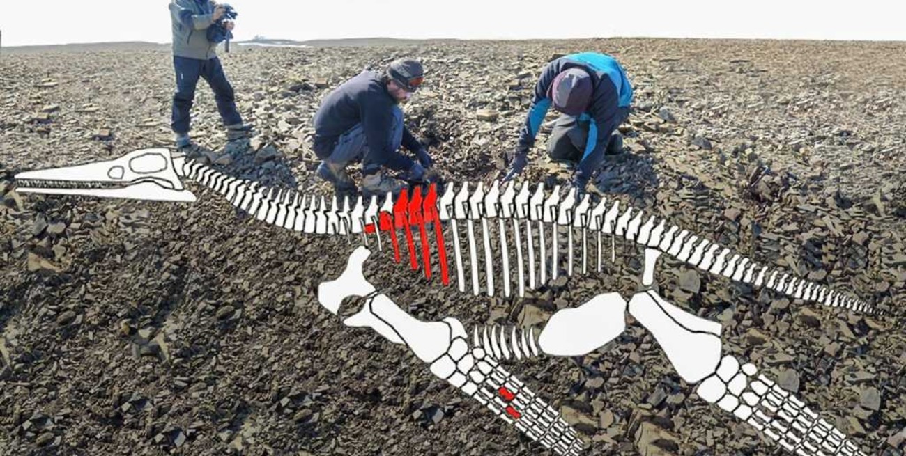 Descubren en la Antártida un lagarto gigante de más de 150 millones de años