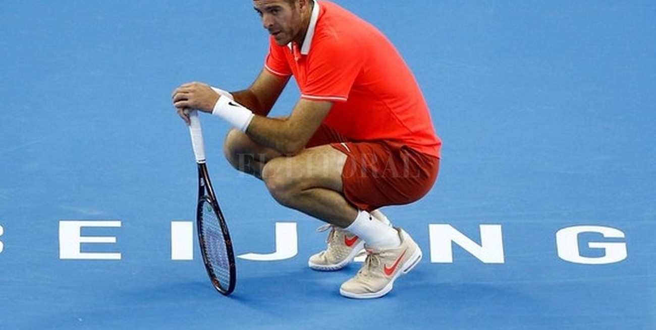 Del Potro se bajó del Masters de Londres