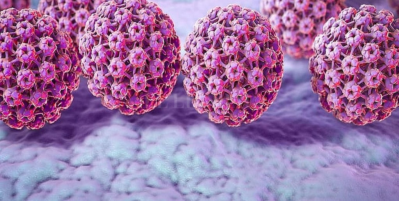 Cientificos argentinos descubren la relación entre el virus del papiloma y el cáncer
