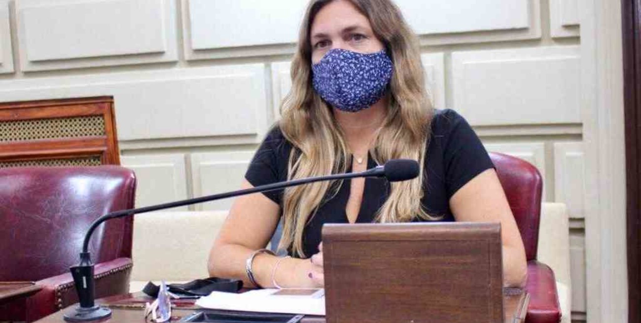 Di Stefano pide conocer las causas que producen los incendios a la vera de la Autopista y detectar a los responsables