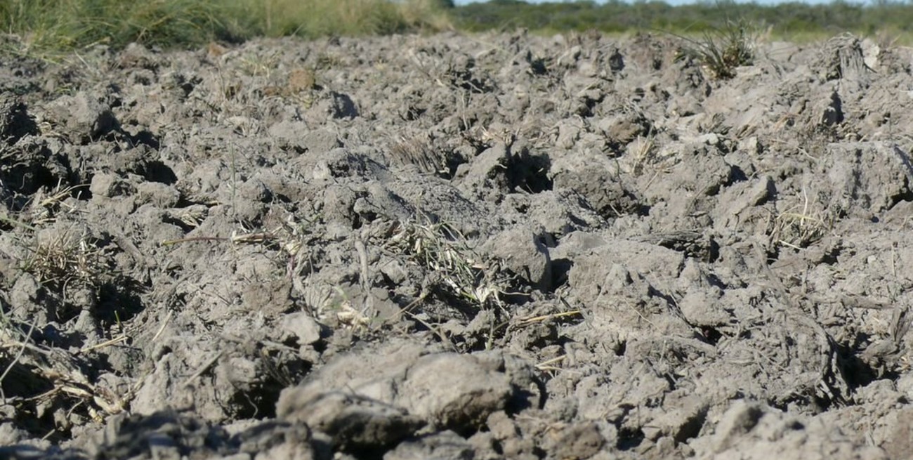 Se conmemora el día del suelo