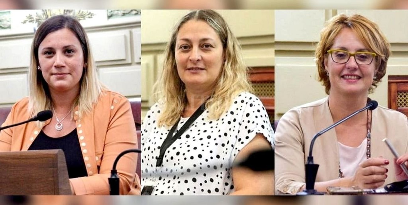 Diputadas y autoridades del Frente Progresista repudiaron las agresiones del ministro Sain