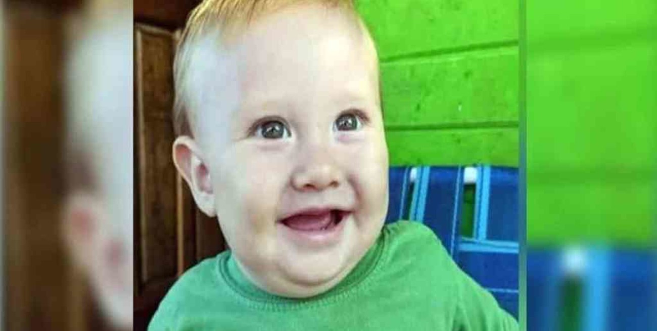 Murió un bebé de ocho meses que comió frutos de un ligustro