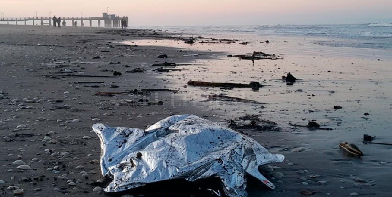 La falta de alimento y la contaminación fueron las principales amenazas de la fauna marina