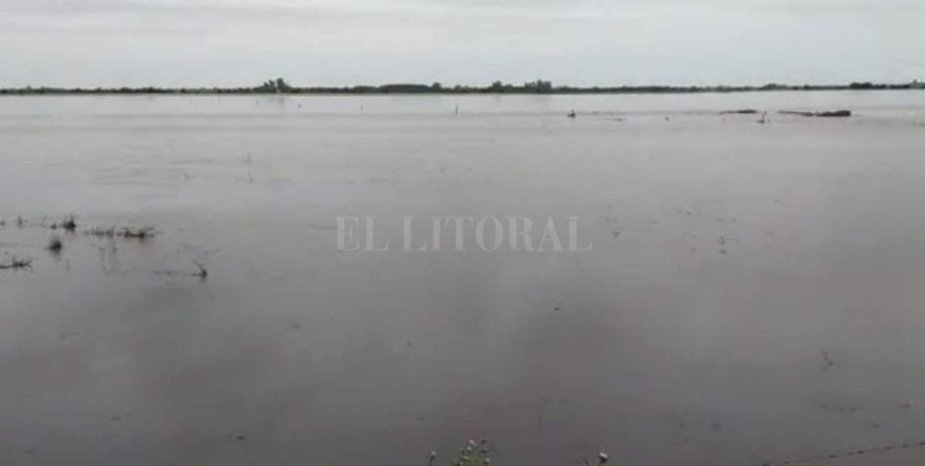 Video: mirá las inundaciones en las zonas rurales de Entre Ríos