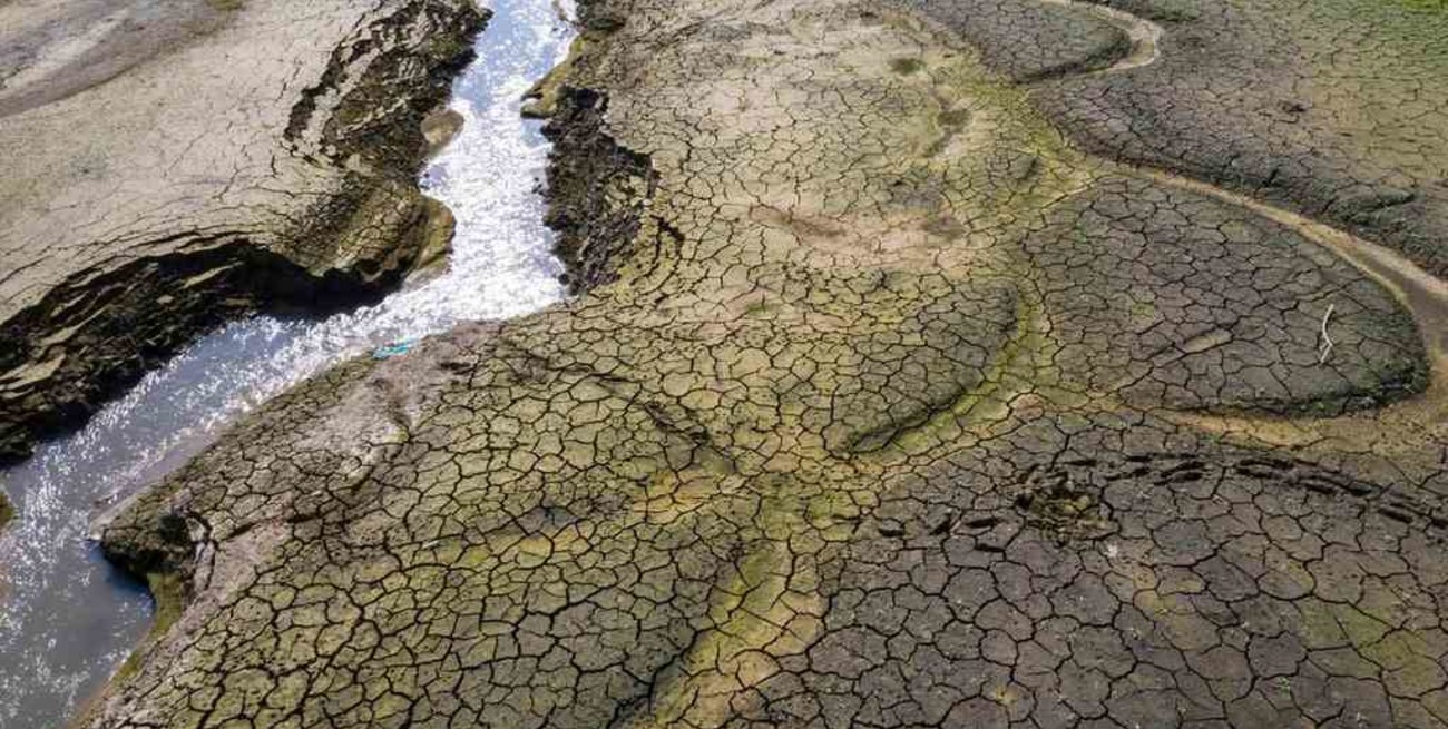 Científicos alertan que "signos vitales" de la Tierra se están debilitando