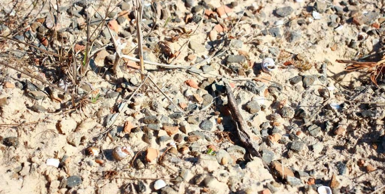 Hallazgo en la Setúbal: analizan restos de cerámicas y piedras de antiguos pobladores