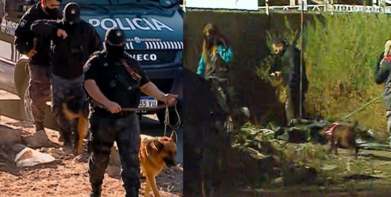 Desesperada búsqueda de Abigail: los perros detectaron un rastro