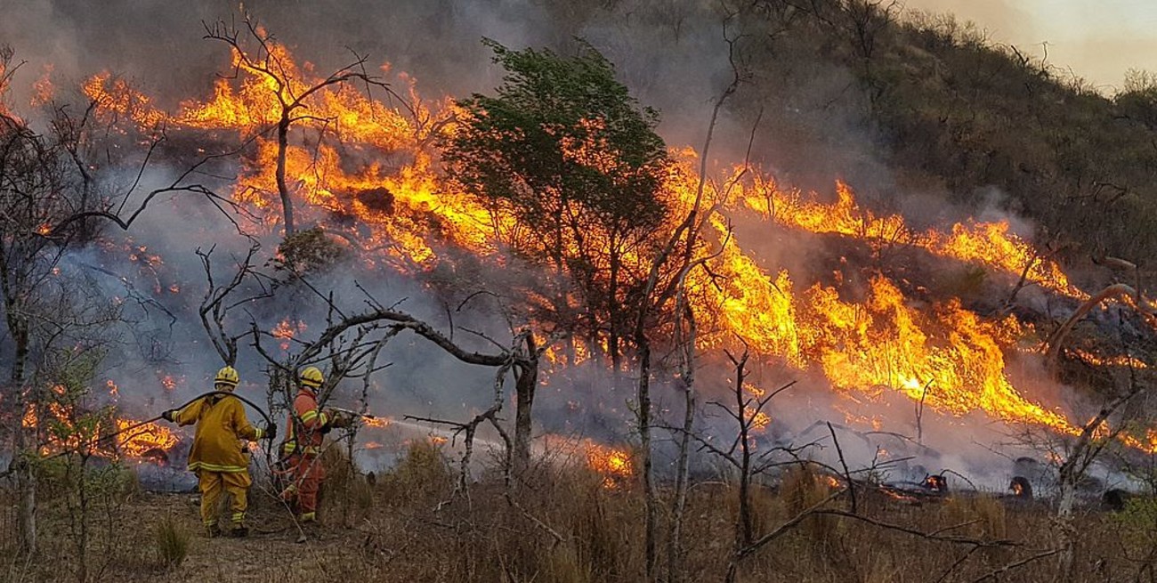 Incendios: advierten que Córdoba atraviesa la peor situación ambiental de la historia 