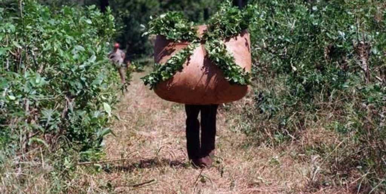 Yerbateros con problemas  