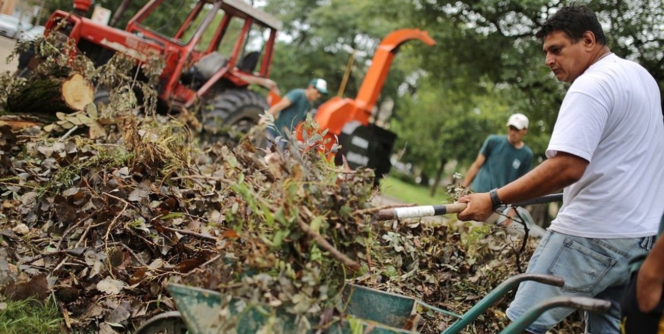 Retiraron mil toneladas de ramas y árboles caídos por el temporal