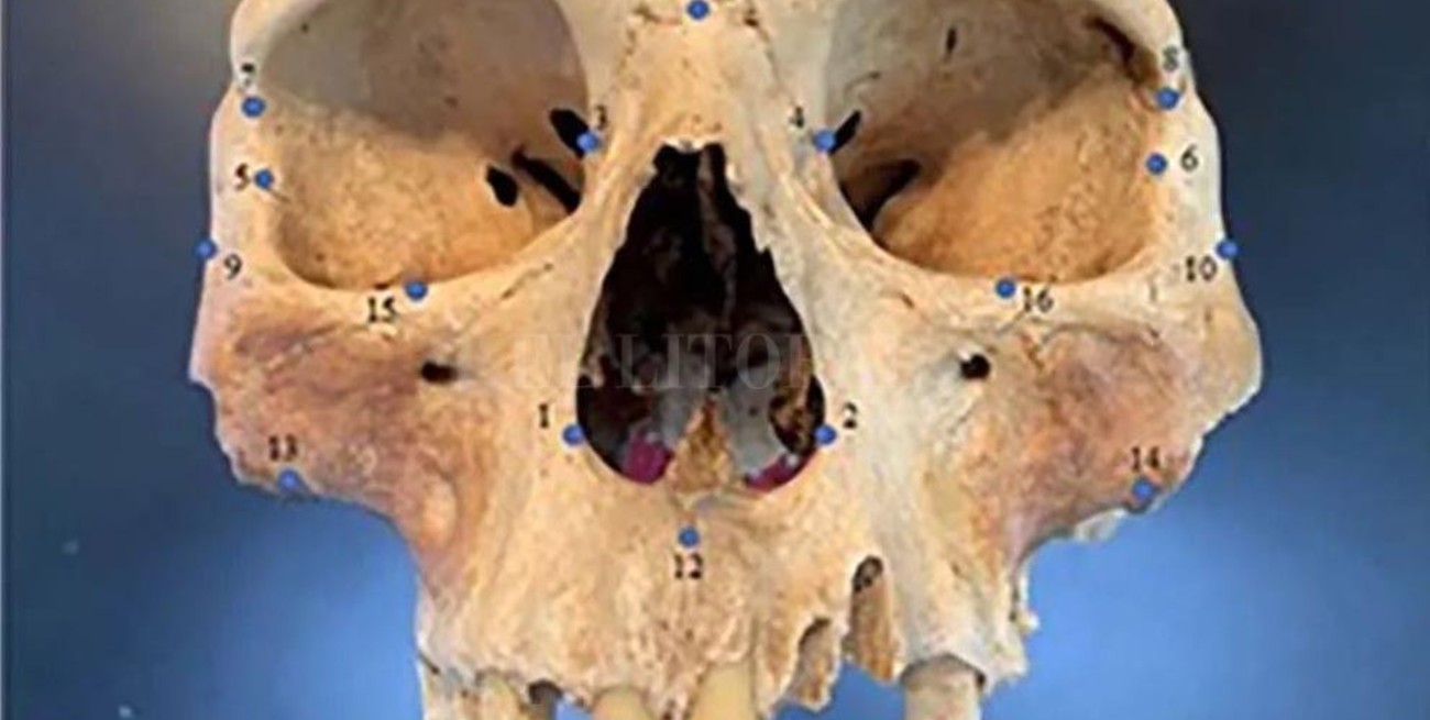 Cristóbal Colón tenía razón: había caníbales en Centroamérica